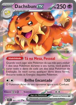 Dachsbun ex 067 Coroa Estelar