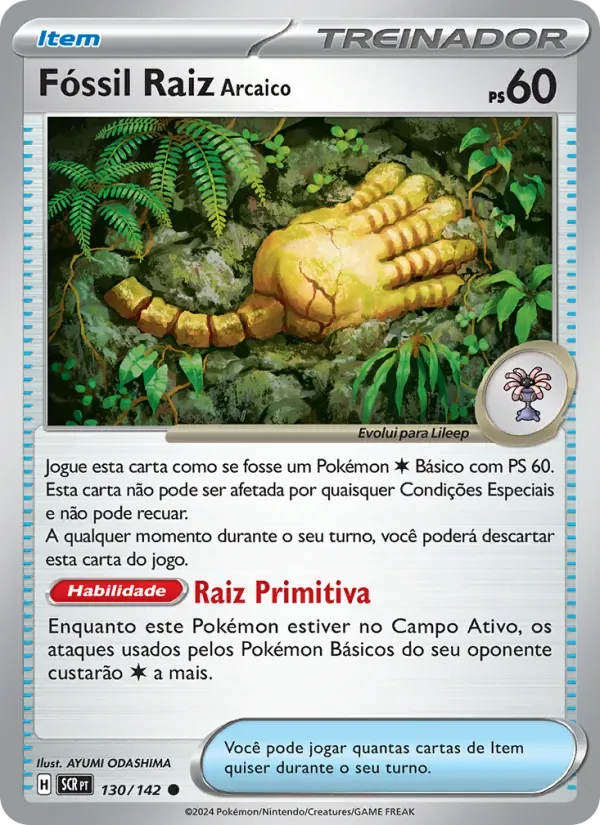 Fóssil Raiz Arcaico 130/142 Coroa Estelar