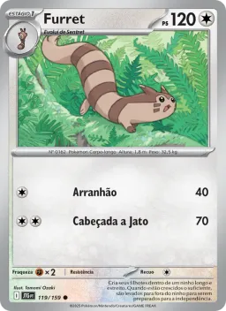 Furret 119 Amigos de Jornada