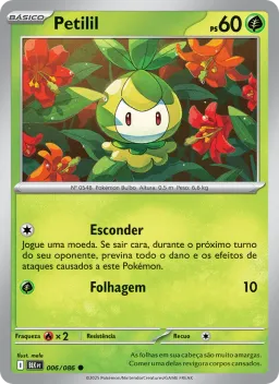 Petilil 006 Raio Preto