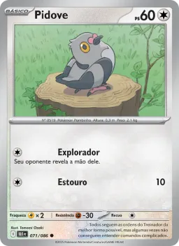 Pidove 071 Raio Preto