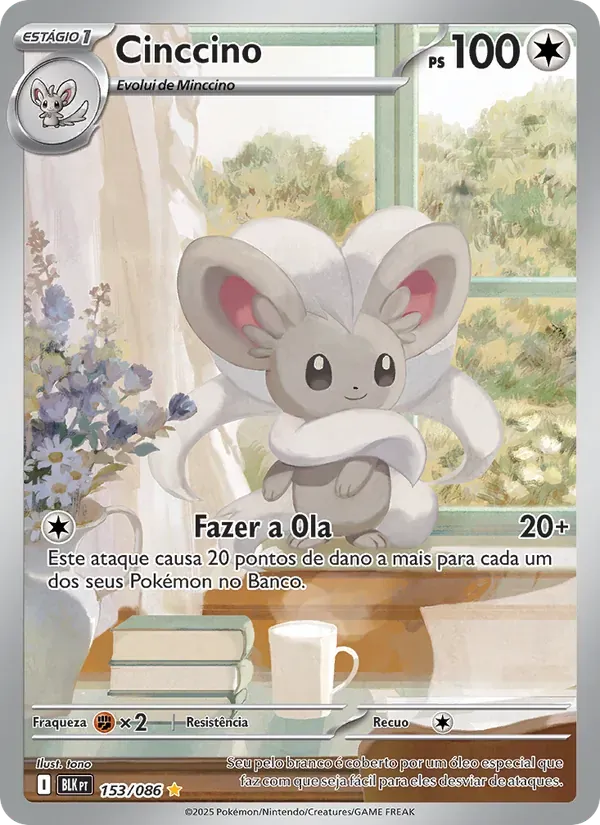 Cinccino 153/86 Raio Preto