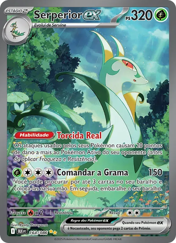 Serperior ex 164/86 Raio Preto