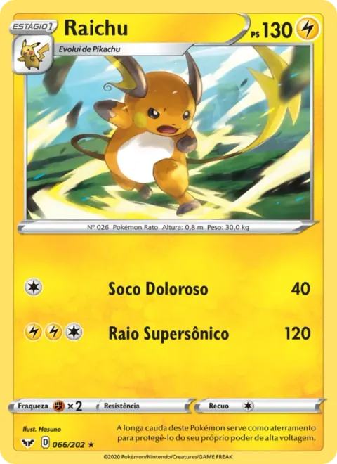 Raichu 66/202