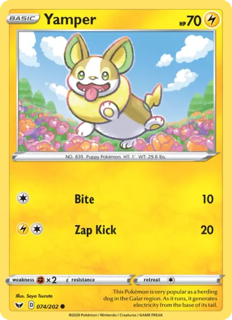 Yamper 74/202