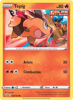 Tepig 23 Estilos de Batalha
