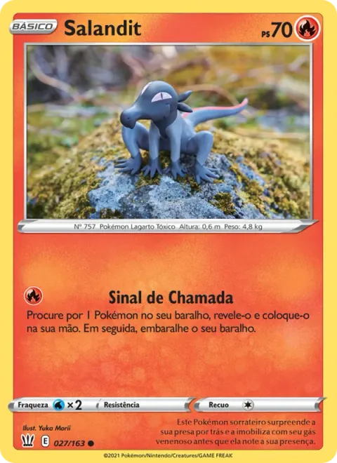 Salandit 27/163