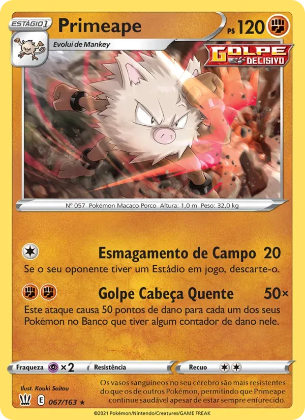 Primeape 67/163 Estilos de Batalha