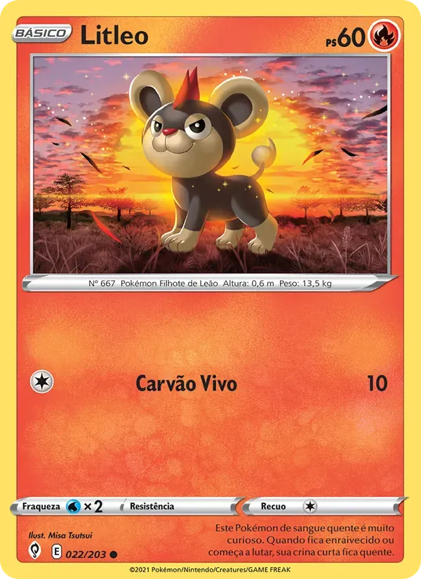 Litleo 22/203 Céus em Evolução