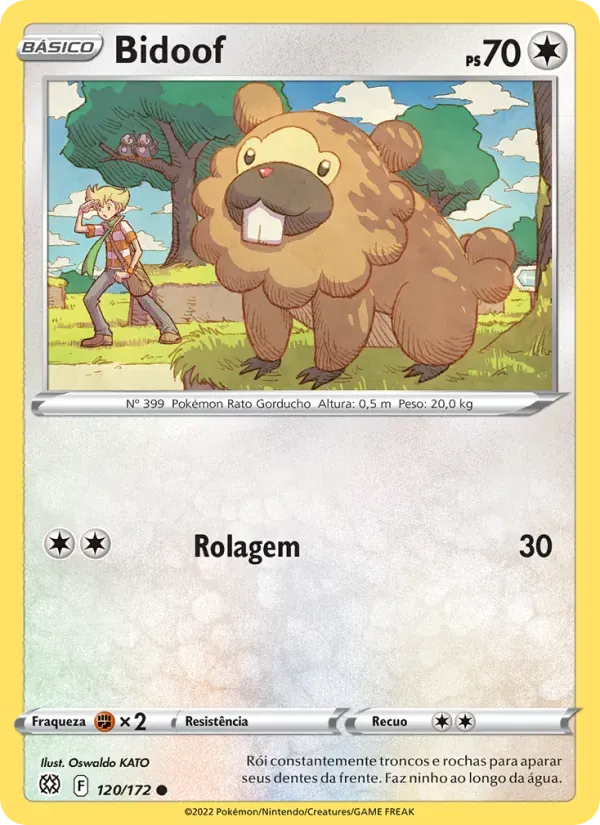 Bidoof 120/172 Astros Cintilantes