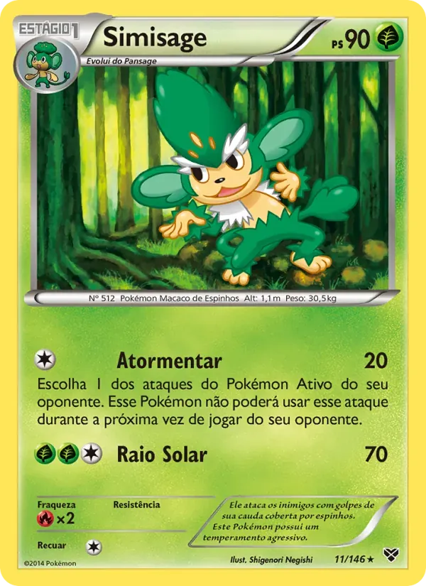 Simisage 11/146 XY