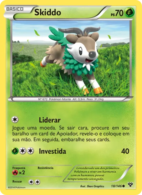Skiddo 18/146