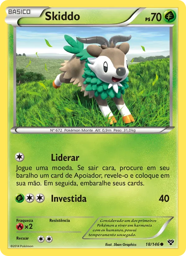 Skiddo 18/146 XY