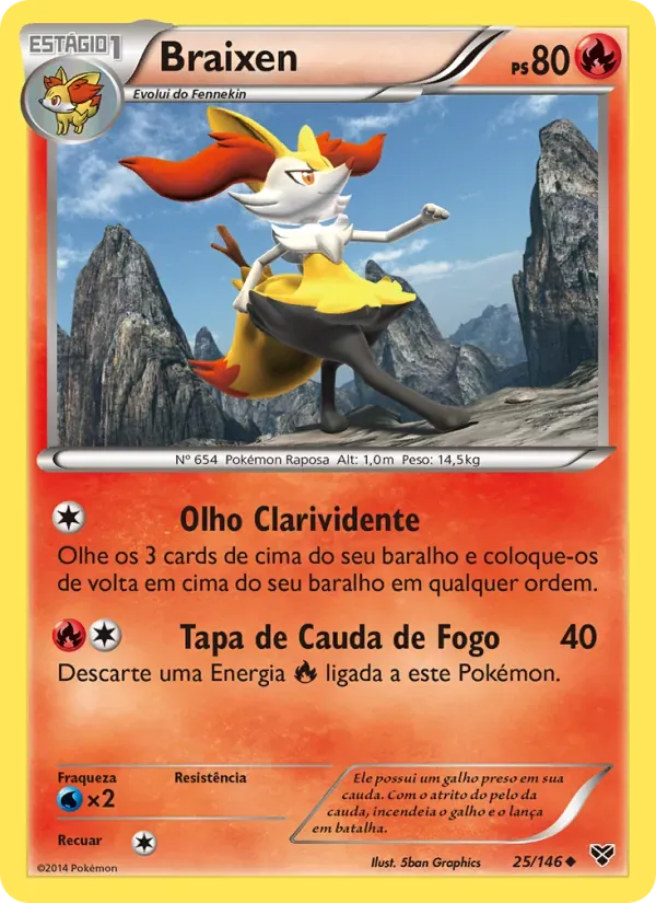Braixen 25/146 XY