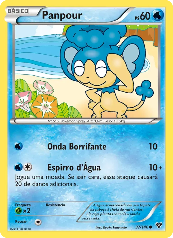 Panpour 37/146 XY