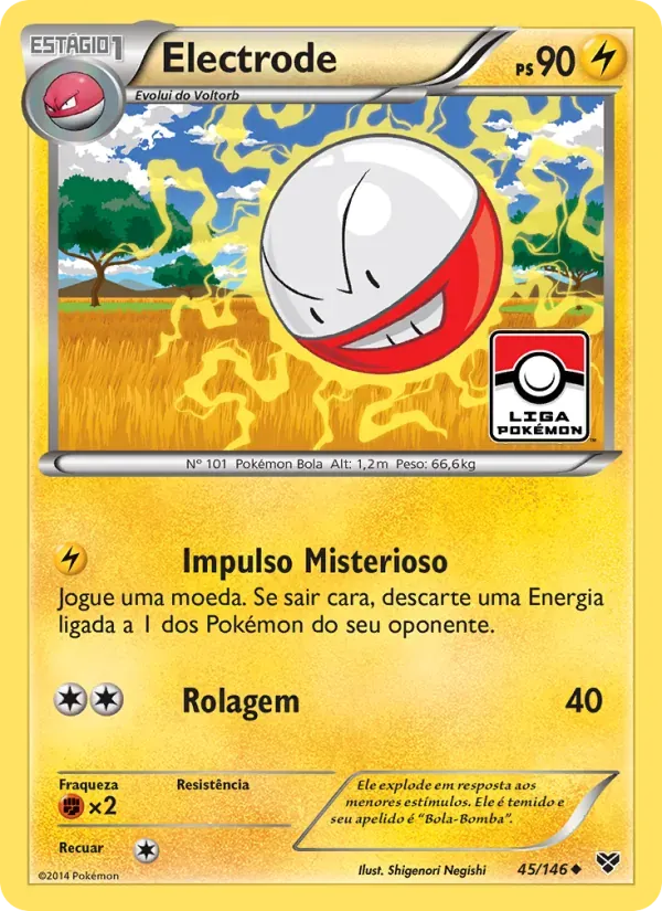 Electrode 45/146 XY