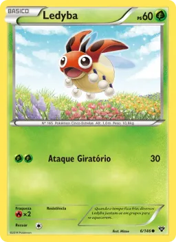 Ledyba 6 XY