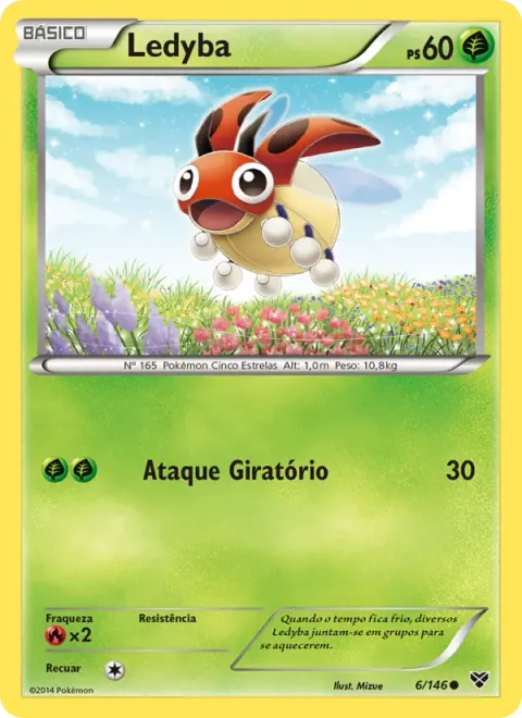 Ledyba 6/146