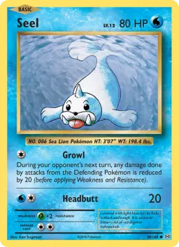 Seel 28 Evoluções