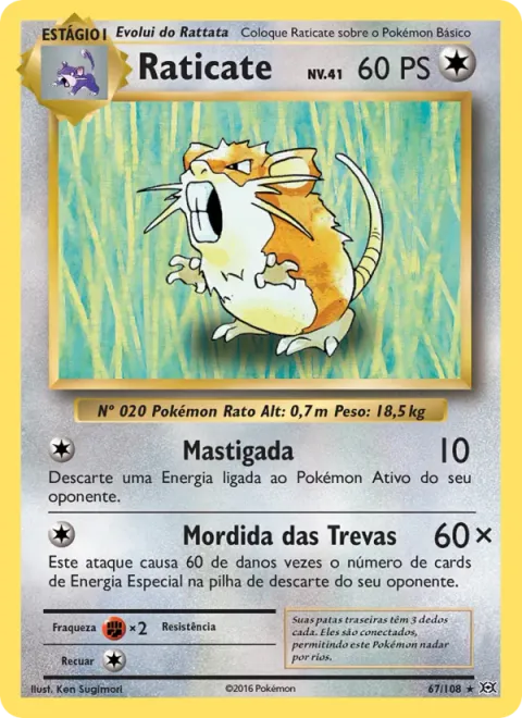 Raticate 67/108