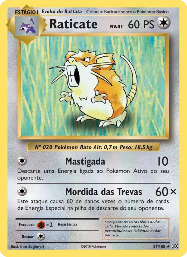 Raticate 67/108 Evoluções