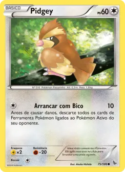 Pidgey 75 Flash de Fogo