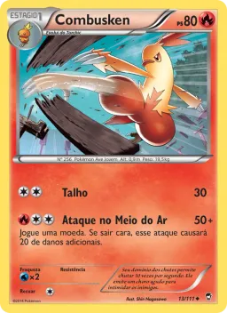 Combusken 13 Punhos Furiosos