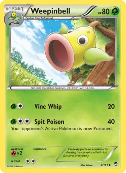 Weepinbell 2 Punhos Furiosos