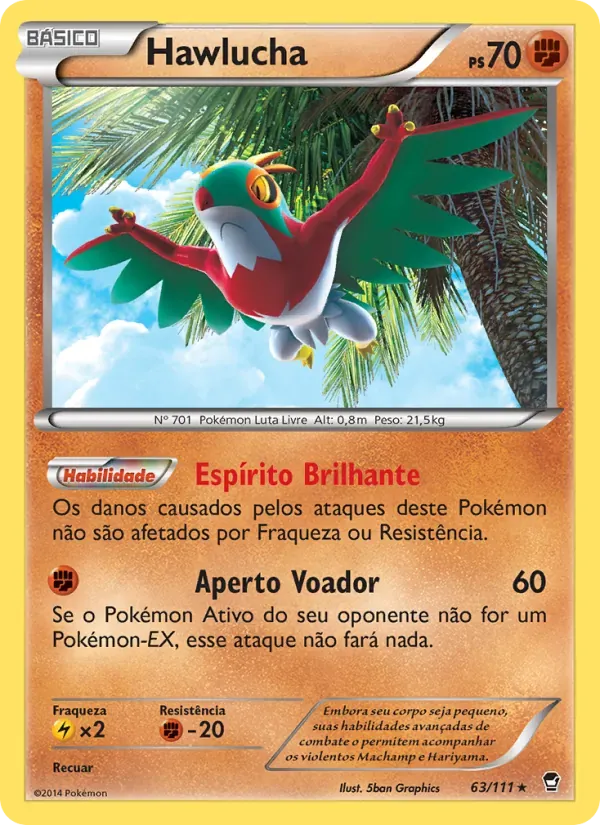 Hawlucha 63/111 Punhos Furiosos