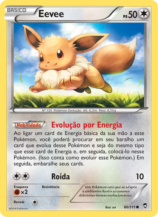 Eevee 80/111 Punhos Furiosos