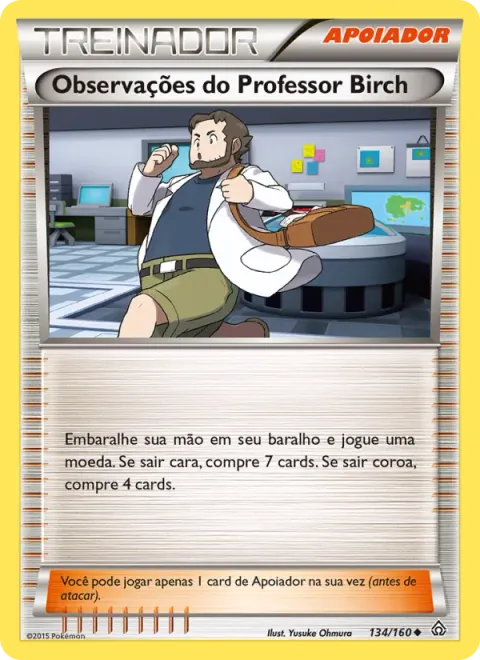 Observações do Professor Birch 134/160