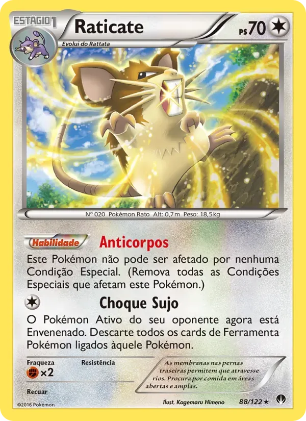 Raticate 88/122 Turbo Colisão