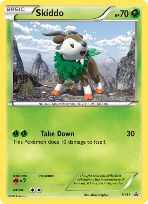 Skiddo XY11/211