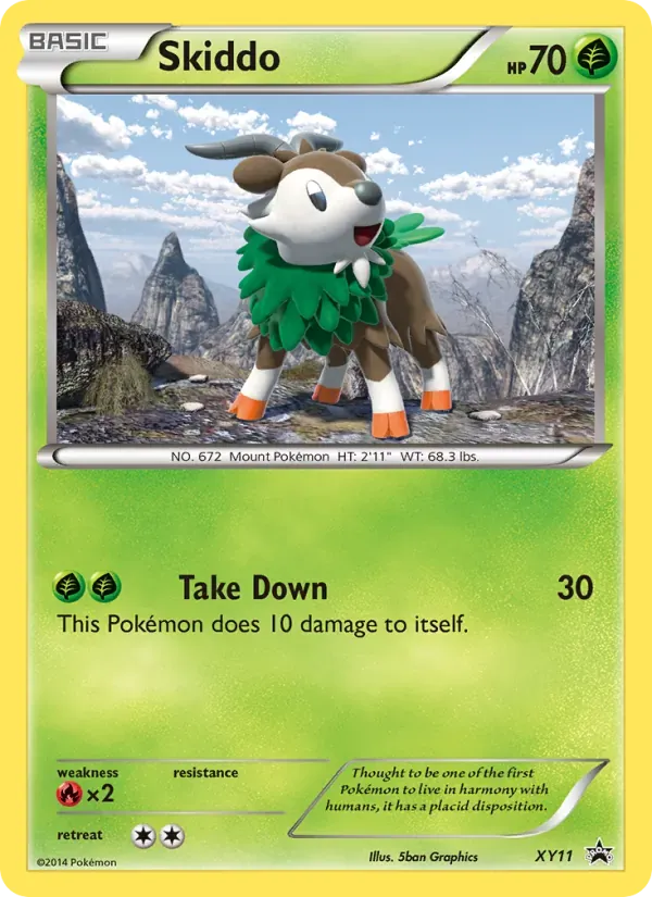 Skiddo XY11/211 XY Black Star Promos