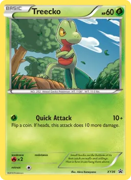 Treecko XY36 XY Black Star Promos