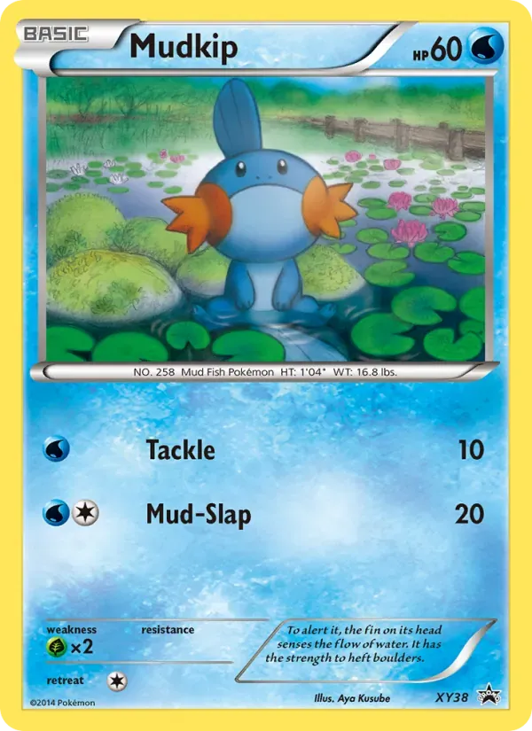 Mudkip XY38/211 XY Black Star Promos