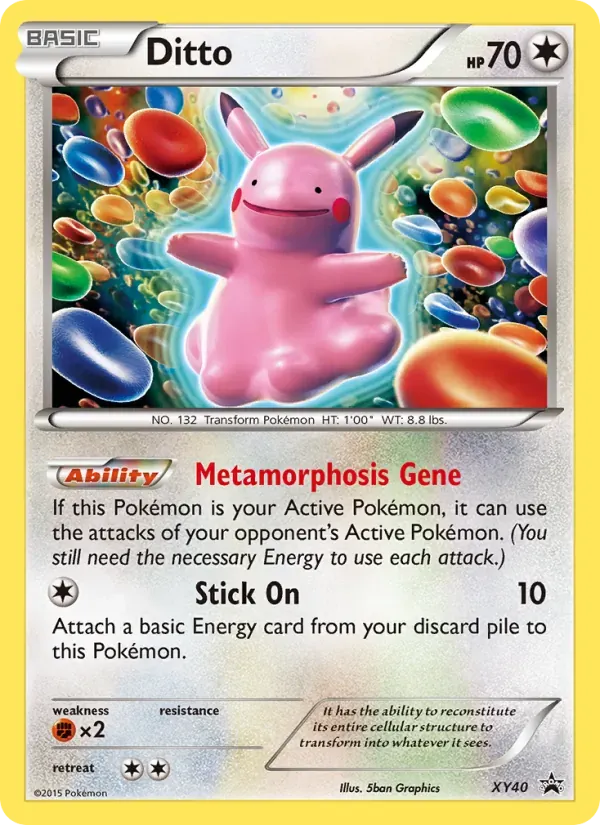Ditto XY40/211 XY Black Star Promos