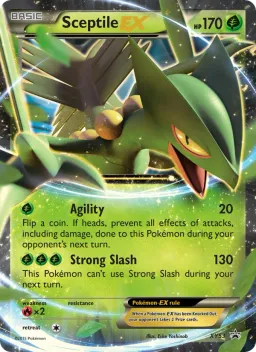 Sceptile EX XY53 XY Black Star Promos