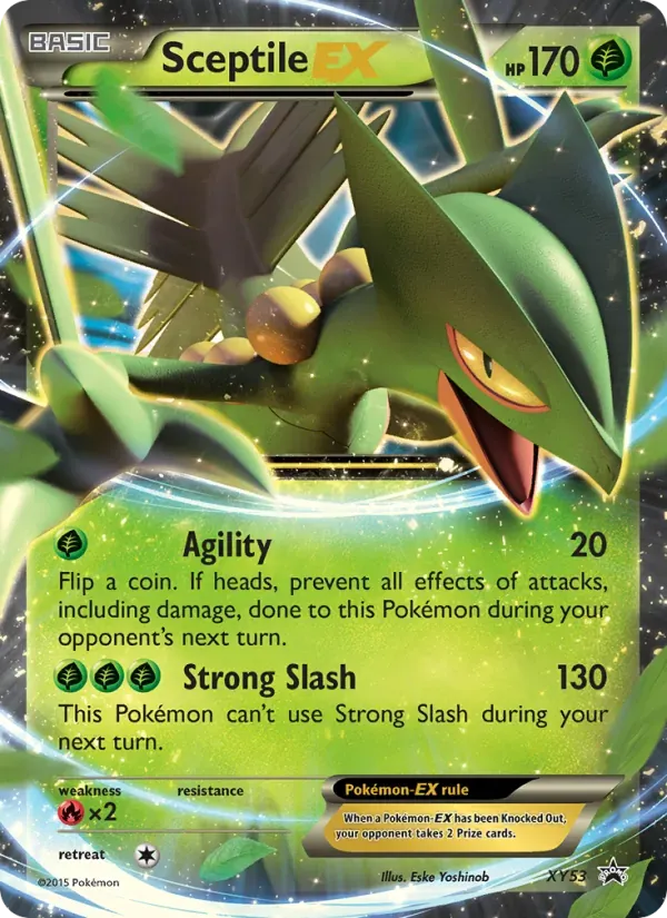 Sceptile EX XY53/211 XY Black Star Promos
